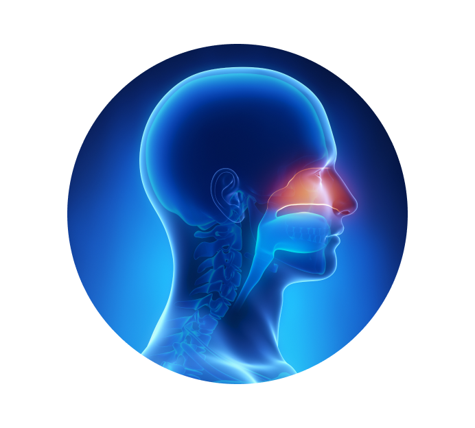 Риноскопия