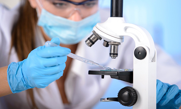 Маркеры риска преэклампсии: sFlt-1, PlGF, соотношение sFlt-1/PlGF