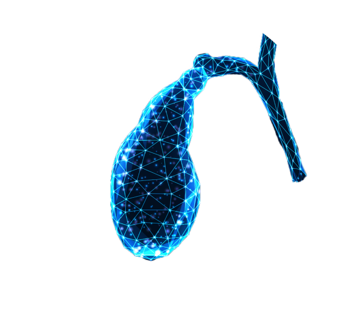 УЗИ желчного пузыря