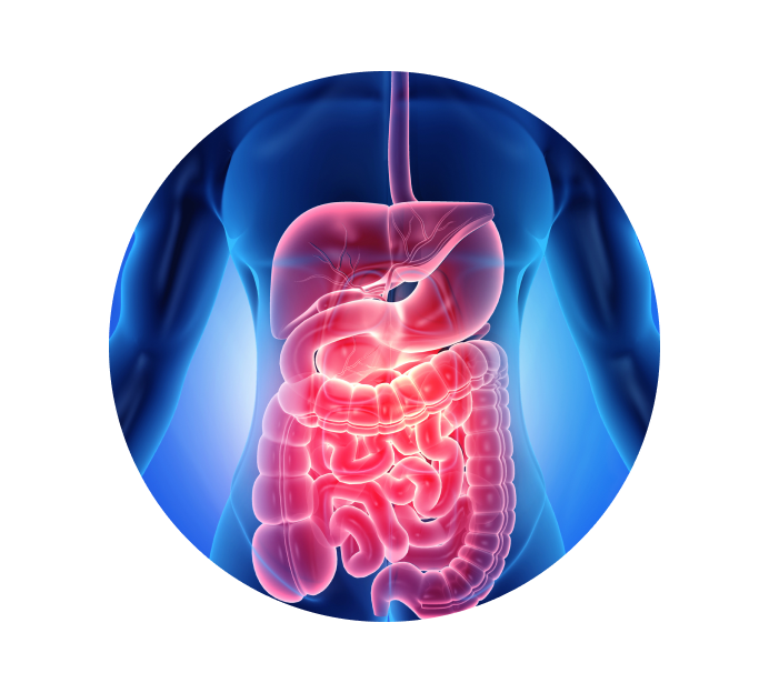 Эзофагоскопия