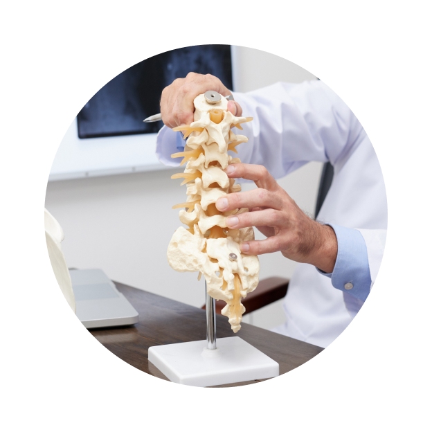 УЗИ пояснично-крестцового отдела позвоночника