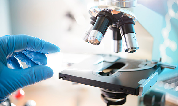 Цитологическое исследование соскоба, мазка с шейки матки, цервикального канала Цитологическое исследование соскоба, мазка с шейки матки, цервикального канала