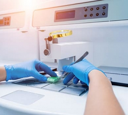 Биопсия Биопсия